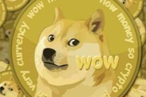 【币圈新势力】狗狗币涨势回来了! 月内价格翻倍、科技公司宣布接受狗狗币购买二手特斯拉