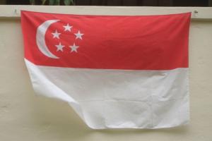 超级罕见！新加坡高等法院“授权NFT保护禁令” 认定属于资产、区块链上协议获官方认可