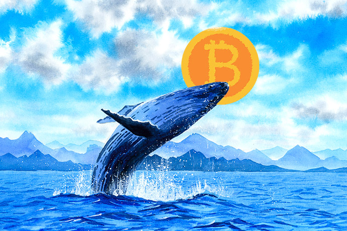 BitMEX比特币突然闪崩至8900美元：巨鲸抛售？！