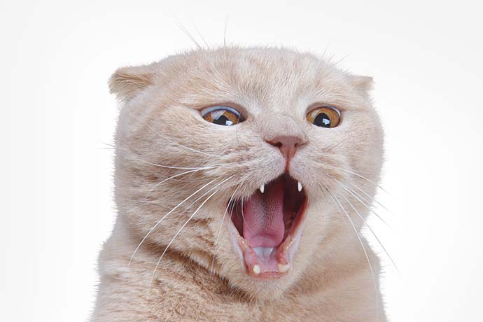 特朗普《大美丽法案》震惊市场：美股比特币获利“汇出”境外征收5%税！