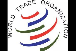 首次！世贸组织总干事宣布副总干事名单 中国和美国贸易专家均入选、首次有两名女性入选
