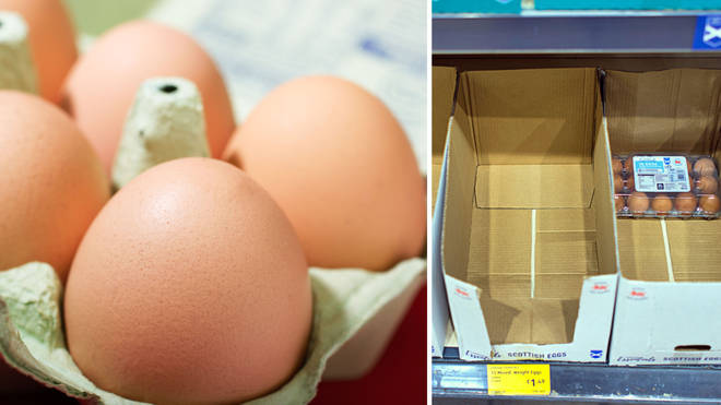缺蛋潮！英国爆发史上最大规模禽流感 竟有超市趁机实施“鸡蛋限购令”