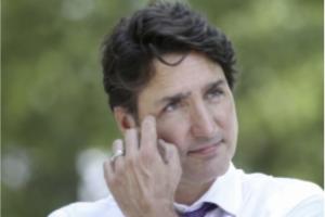 加拿大总理特鲁多新冠病毒检测呈阳性 目前正在远程办公且感觉良好