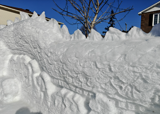 加拿大华人家门前筑9米雪雕长龙贺新春：邻居都不愿搬走！