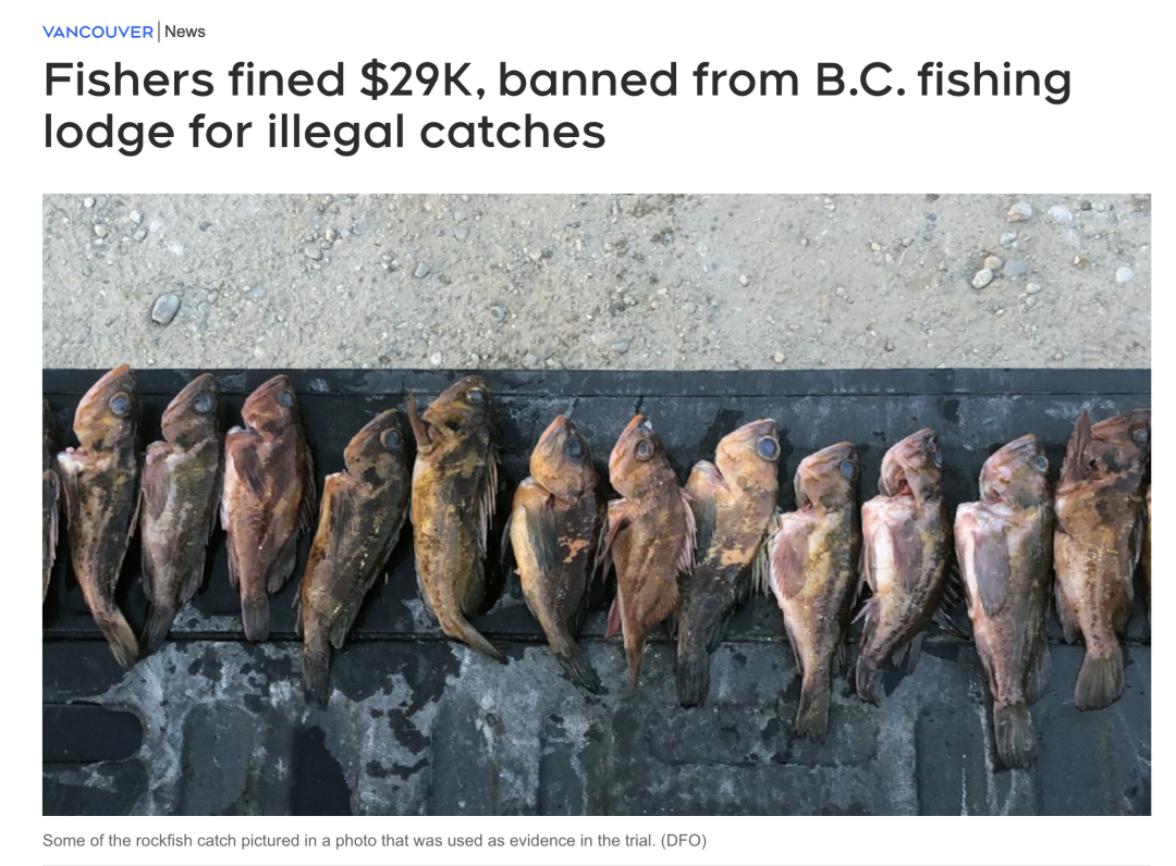 摊上事！加拿大三华人这样抓鱼+海鲜被重罚近3万刀！禁止出入这些地方